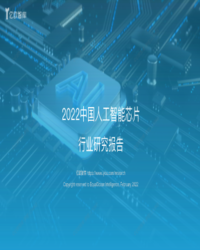 2022中国AI芯片行业研究报告